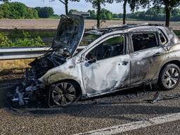 Foto: Tom van der Put/Persbureau Heitink.