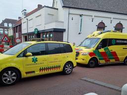 Dierenambulance Brabant Noord-Oost (foto: DABNO/Facebook).
