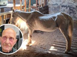Foto: Landelijke Inspectiedienst Dierenwelzijn.