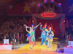 Kindercircus Il Grigio (foto: Omroep Brabant).