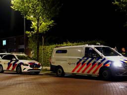 Vechtpartij tussen jongeren op de kermis