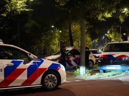 Foto: Bart Meesters/Persbureau Heitink