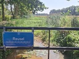 De Reusel in Landgoed de Utrecht stond bijna volledig droog (foto: Waterschap De Dommel).
