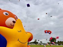 Eindelijk genoeg wind op Vliegerdagen, maar te veel voor luchtballonnen