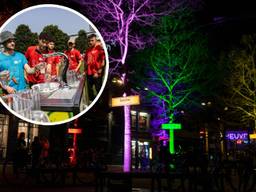 Zo zagen de gekleurde bomen er in Eindhoven uit (foto's: ANP/Fama Volat)