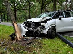 Automobilist crasht tegen boom en raakt gewond
