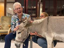 Ezel Fayke houdt van ouderen (foto: ZuidWest TV).