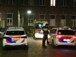 https://api.omroepbrabant.nl/img/f/$width$/$height$/0.5/0.5/bWVkaWEvcHJvZC80NzMwOTA2LmpwZz9zdj0yMDE5LTA3LTA3JnN0PTIwMjAtMDEtMDFUMDAlM0EwMCUzQTAwWiZzZT0yMDQwLTAxLTAxVDAwJTNBMDAlM0EwMFomc3I9YiZzcD1yJnNpZz1CVWVIMWxJcTZKczhhZDMxN1lPTktNZkVZY0IwUDcxQXgzamdIR1BtWEU0JTNE