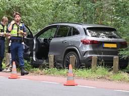 Automobilist raakt van weg en rijdt houten paaltjes omver