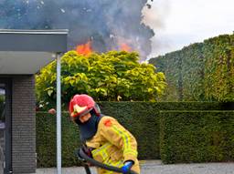 Foto: Rico Vogels / Persbureau Heitink.