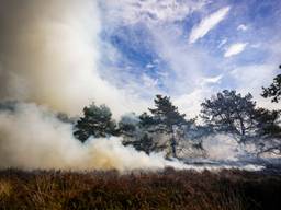 Rookgranaat veroorzaakt grote brand op de Oirschotse Heide