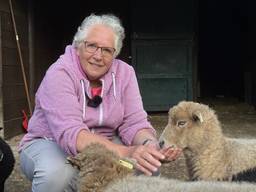 Ina dreigt haar dierenweide kwijt te raken na het overlijden van haar man (foto: Megan Hanegraaf).