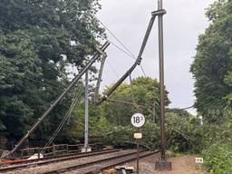 Boom vernielt bovenleiding bij Vught, spoor voorlopig dicht