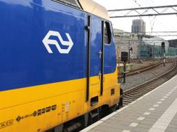 (Foto: Omroep Brabant.)
