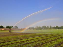 Boeren mogen voorlopig geen water oppompen uit beken (archieffoto: Ben Saanen).