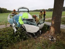 Vrouw botst op boom en belandt met auto in greppel