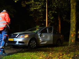 De automobilist crashte tegen een boom in Drunen