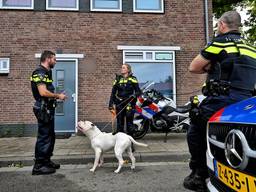 Foto: Persbureau Heitink.