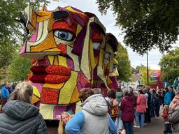 'n Fraai Gezicht, winnaar van Bloemencorso Valkenswaard 2025 (foto: Imke van de Laar).