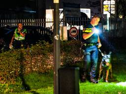 https://api.omroepbrabant.nl/img/f/$width$/$height$/0.5/0.5/bWVkaWEvcHJvZC80NzUyNDQ5LmpwZz9zdj0yMDE5LTA3LTA3JnN0PTIwMjAtMDEtMDFUMDAlM0EwMCUzQTAwWiZzZT0yMDQwLTAxLTAxVDAwJTNBMDAlM0EwMFomc3I9YiZzcD1yJnNpZz14SW80JTJCSHMlMkJmRlB6TFBFOEJvZXFCU0FKRExORnN1V3NzdE9CMmVnQTRIcyUzRA==