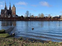 (Foto: Rijksdienst voor Cultureel Erfgoed.)