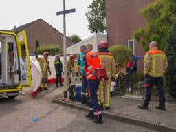 Foto: Harrie Grijseels/Persbureau Heitink.