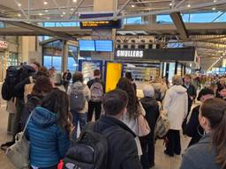 Het treinverkeer van en naar Den Bosch is maandag om half vier weer grotendeels opgestart.