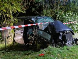 Automobilist zwaargewond bij crash, auto raakte verkeersbord en ramde boom