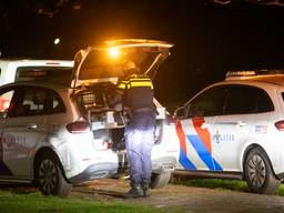 Steekpartij in park: een persoon gewond