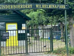 kinderboerderij Wilhelminapark (foto: Studio040)
