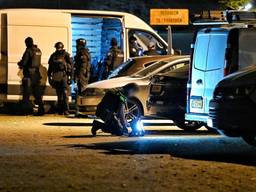 Tijdens een grote politieactie zijn twee mannen aangehouden voor wapenbezit.