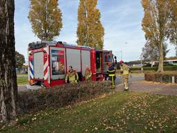 Foto: Jeroen Stuve/Persbureau Heitink.