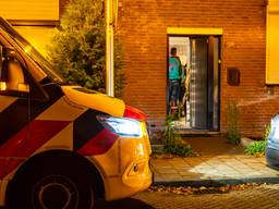 Foto: Harrie Grijseels/Persbureau Heitink.