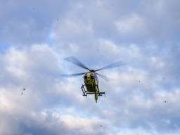 Foto: Dave Hendriks/Persbureau Heitink