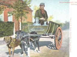 De hondenkar (foto:  Herman de Ruiter/BHIC).