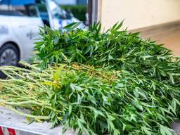 Foto: Christian Traets/Persbureau Heitink