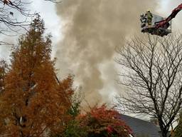 Foto: Sjoerd van Wesel.