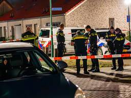 Foto Harrie Grijseels/Persbureau Heitink.