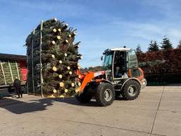 Drukte bij de kerstboomkweker (foto: Kees Poppelaars).