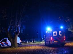 Gewonde bij steekpartij, verdachte op de vlucht