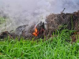 Foto: Toby de Kort/Persbureau Heitink.