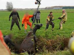 Foto: Jeroen Stuve/Persbureau Heitink.