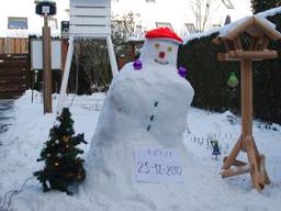 In 2010 hadden we voor het laatst een witte kerst. (Foto: Nico Koevoets, Breda)