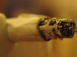 Niet meer roken in natuurgebied of bos in de gemeente Goirle. (Archieffoto)