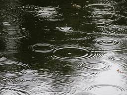 Wateroverlast op het stadhuis in Veghel. (archieffoto)