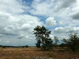 De Loonse en Drunese Duinen