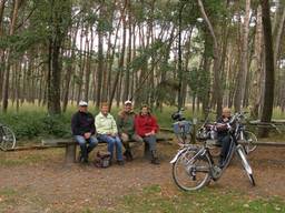 Het moet niet te druk worden in de bossen (foto: Nel Span).