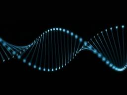 Zoektocht naar Keltisch DNA in Zeelst