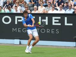 Robin Haase (foto: Henk van Esch)