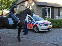 Zoeken met paarden (foto: Foto Martijn van Bijnen / FPMB)
